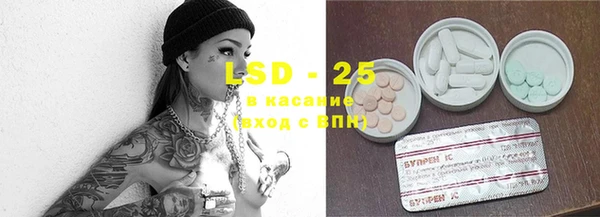 альфа пвп Медвежьегорск