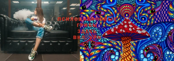 альфа пвп Медвежьегорск