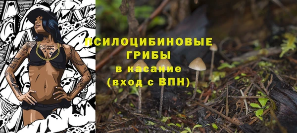 альфа пвп Медвежьегорск