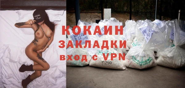 дмт Невель