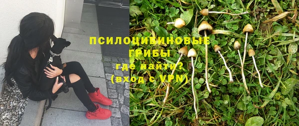 дистиллят марихуана Медногорск