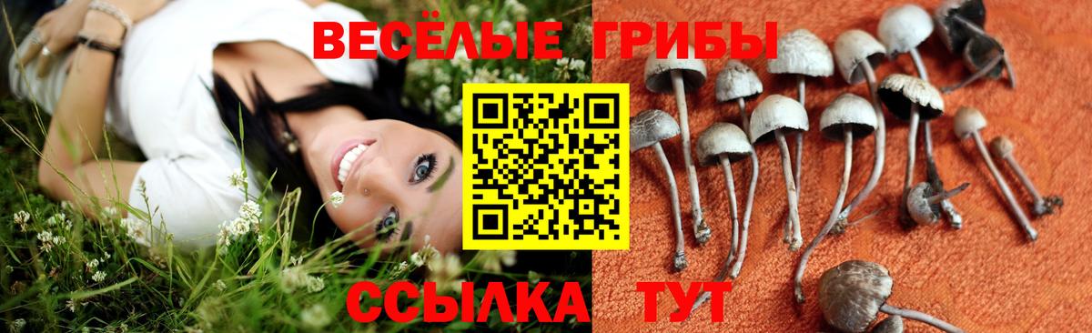 Иркутск  Галлюциногенные грибы прущие грибы  Вход с VPN 